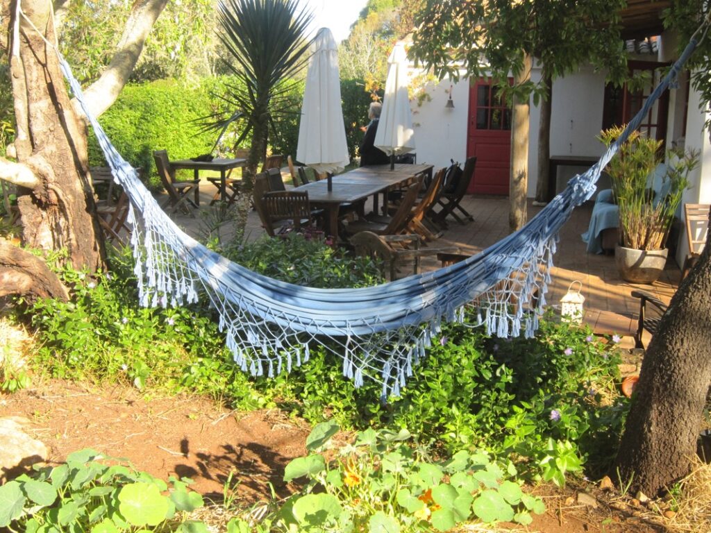 Photo of hammock in the shade on a sunny day