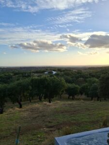 Singing hoiday portugal view